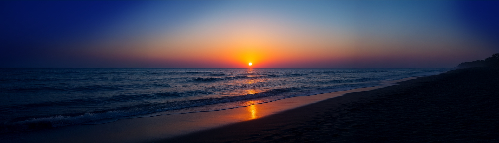 Política de Privacidad y Protección de Datos Personales