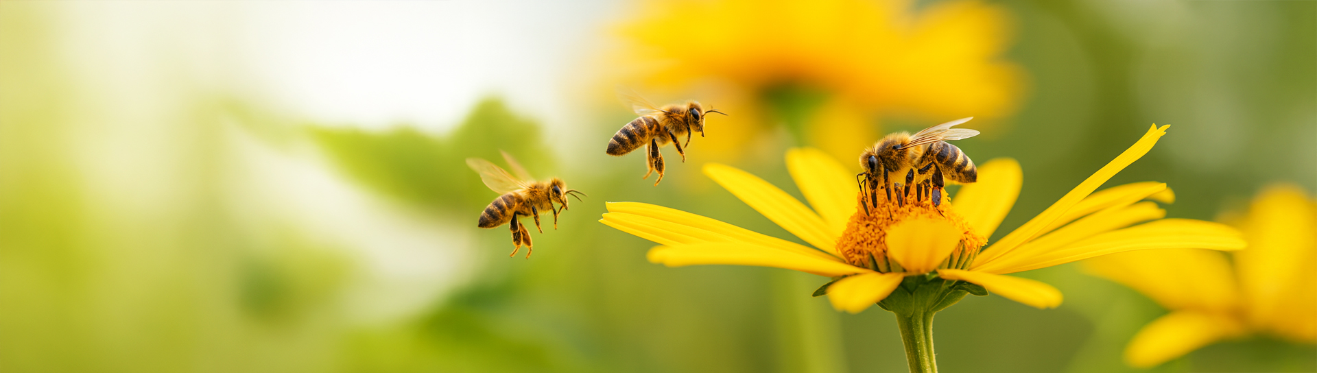 Cultura Organizacional