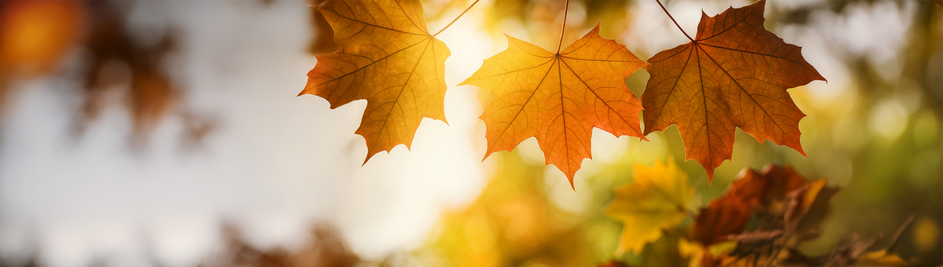 desarrollo-de-equipos