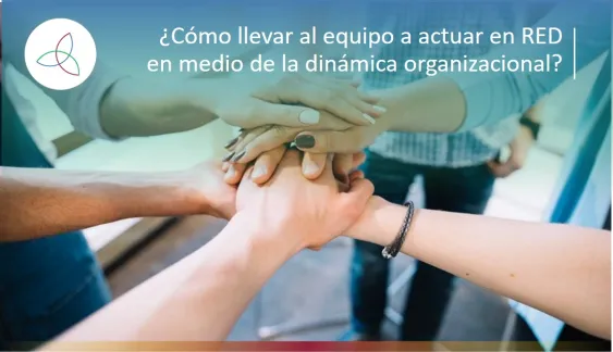 ¿Cómo llevar al equipo a actuar en RED en medio de la dinámica organizacional?