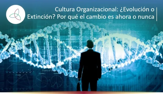 El ADN Cultural: ¿Qué revela la genética de tu empresa sobre su éxito futuro?