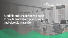 Medir la cultura organizacional: lo que la empresa repite cuando nadie la está mirando
